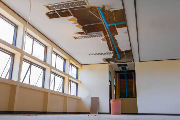 Best Ceiling water damage repair  in Buies Creek, NC