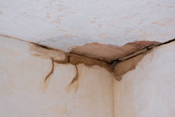 Best Flood damage cleanup  in Buies Creek, NC