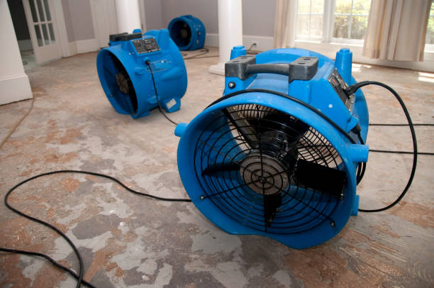 Buies Creek, NC Water damage restoration Pros