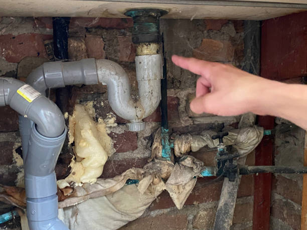 Best Water damage restoration insurance claims  in Buies Creek, NC
